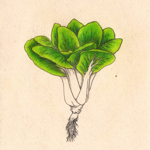 Meet your Posher, Daisy the Fairy - Picture 5 of 6